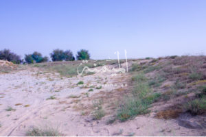 للبيع مزرعة وادي العمردي دبي للبيع مزرعة وادي العمردي دبي