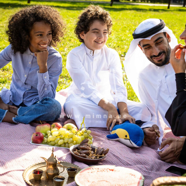دليل منطقة الطوار دبي | الميمنة للوساطة العقارية دليل منطقة الطوار دبي | الميمنة للوساطة العقارية